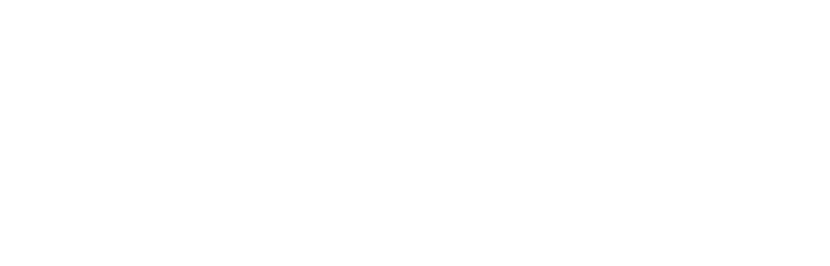 Flown Developer Logo