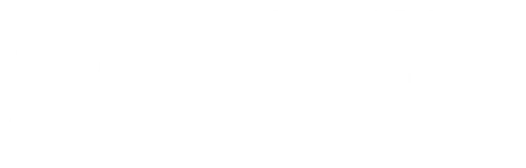 Flown Developer Logo