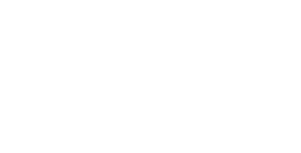 Flown Developer
